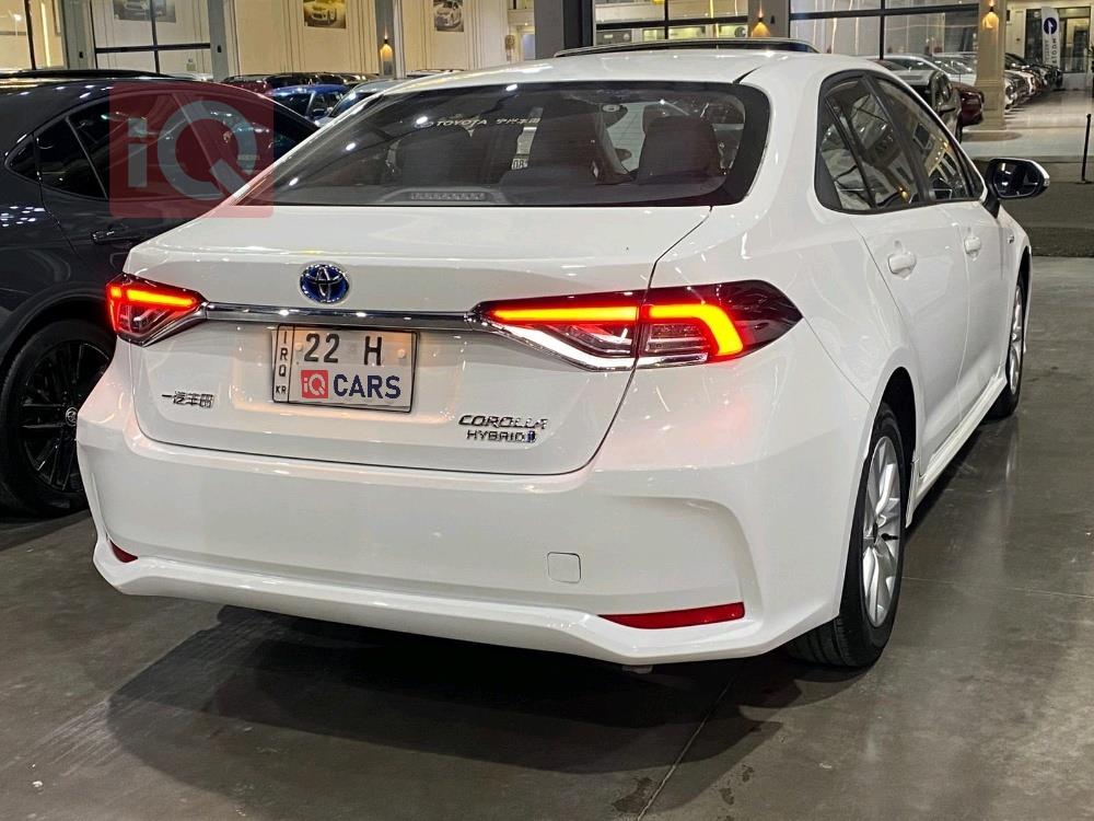 تويوتا كورولا